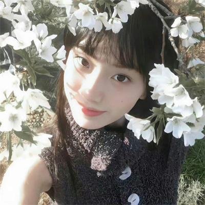 高清剧集